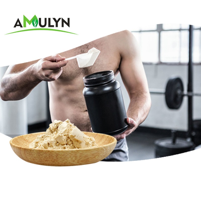 100% Organic Hydrolyzed Pea Protein Peptides Food Grade Organic Pea Protein Peptide Concentrate Powder