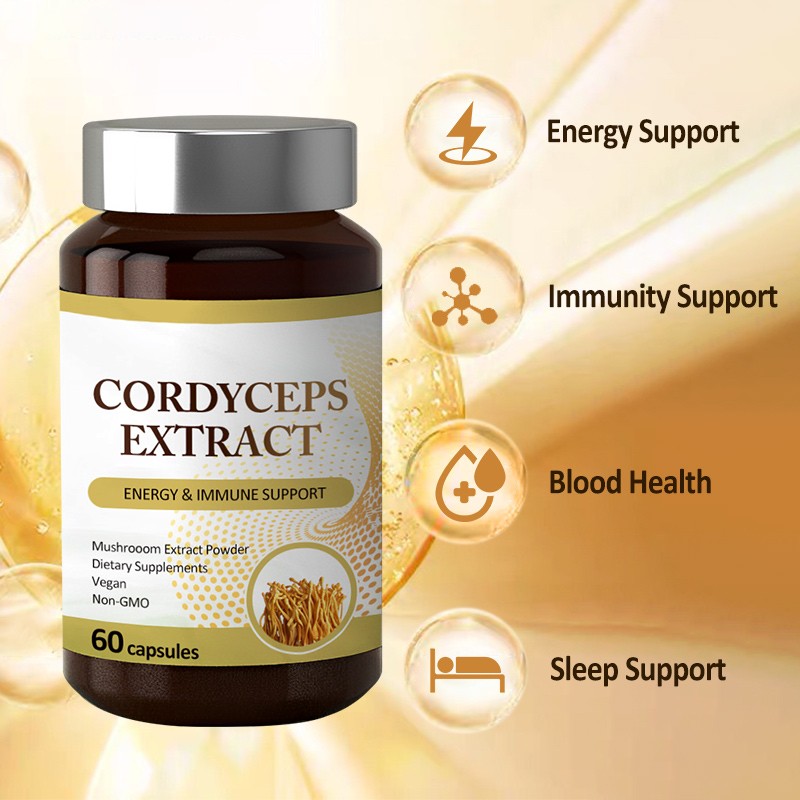AMULYN Cordyceps Sinensis Mushroom Extract Capsules Dietary Supplement Cordyceps Militaris Capsule Cordyceps Gelules