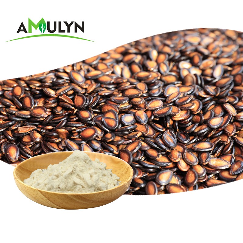 AMULYN High Quality Plant-Based Watermelon Seed Extract Protein Powder Natural Food Additives