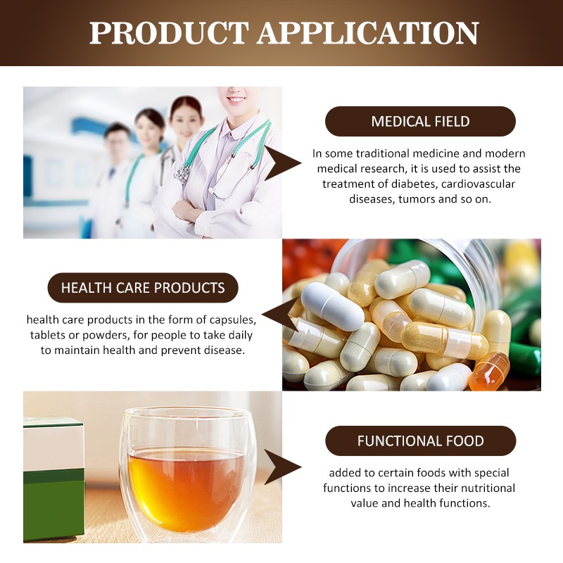 AMULYN Certified Organic Mushroom Extract 30% Polysaccharides Chaga Extract Chaga Powder