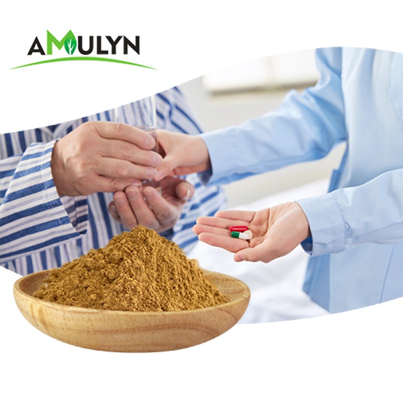 Wholesale Food Grade Passion Flower Extract Powder High Quality Herbal Extract in Vacuum Packed Drums