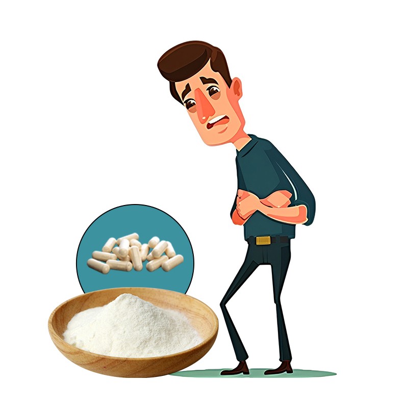 Pure Lactobacillus Plantarum Probiotics Powder