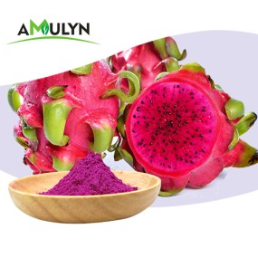 AMULYN Vacuum Spray Dried Freeze Dried Red Dragon Fruit Powder