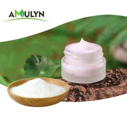 Supply 70% Asiaticosides Centella Asiatica Extract Powder Vacuum-Packed in Plastic Container Mason Jar for Cosmetics Ingredients