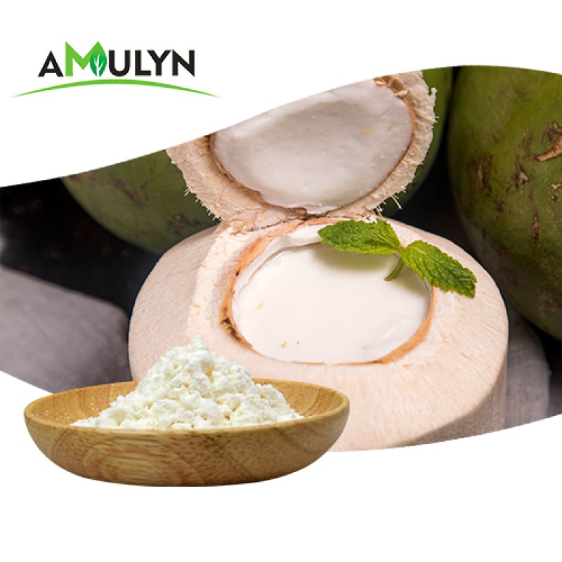 Vegetarian Diet Coconut Milk Powder for Beverage 100%