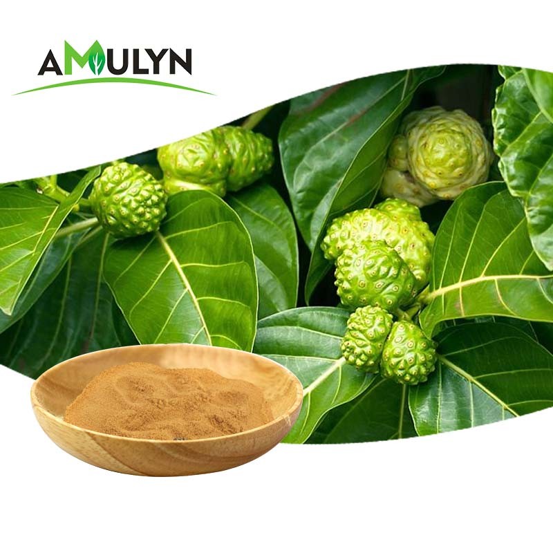 Amulyn Factory Supply Food Grade Noni Extract Powder Best Price Natural Noni Fruit Juice Powder Vitamin Available Bottle Drum