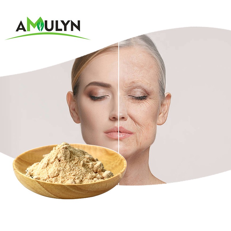 AMULYN Manufacturers Supply Natural Supplements Lyophilized Queen Bee Larva Powder