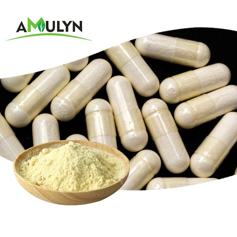 Sunflower Lecithin High Quality Organic Sunflower Lecithin Powder 25kg Bulk Sunflower Lecithin Price for Food Supplements