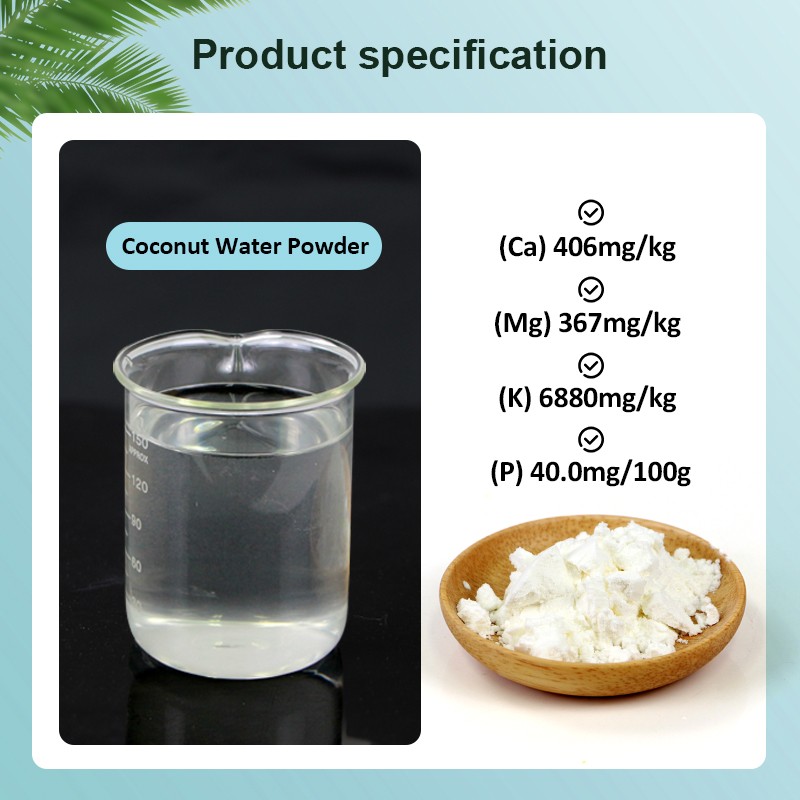 AMULYN Ex-Factory Price Hydration for Workout Coconut Water Powder