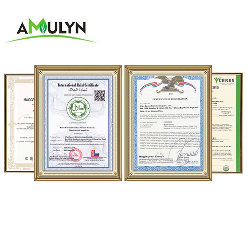 AMULYN Dietary Supplement GMFO09 Enzymolysis Oat Milk Powder for Solid Drink