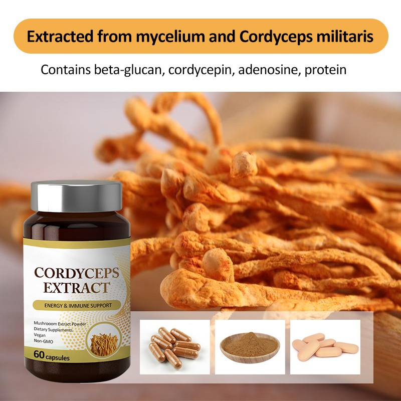 AMULYN Cordyceps Sinensis Mushroom Extract Capsules Dietary Supplement Cordyceps Militaris Capsule Cordyceps Gelules