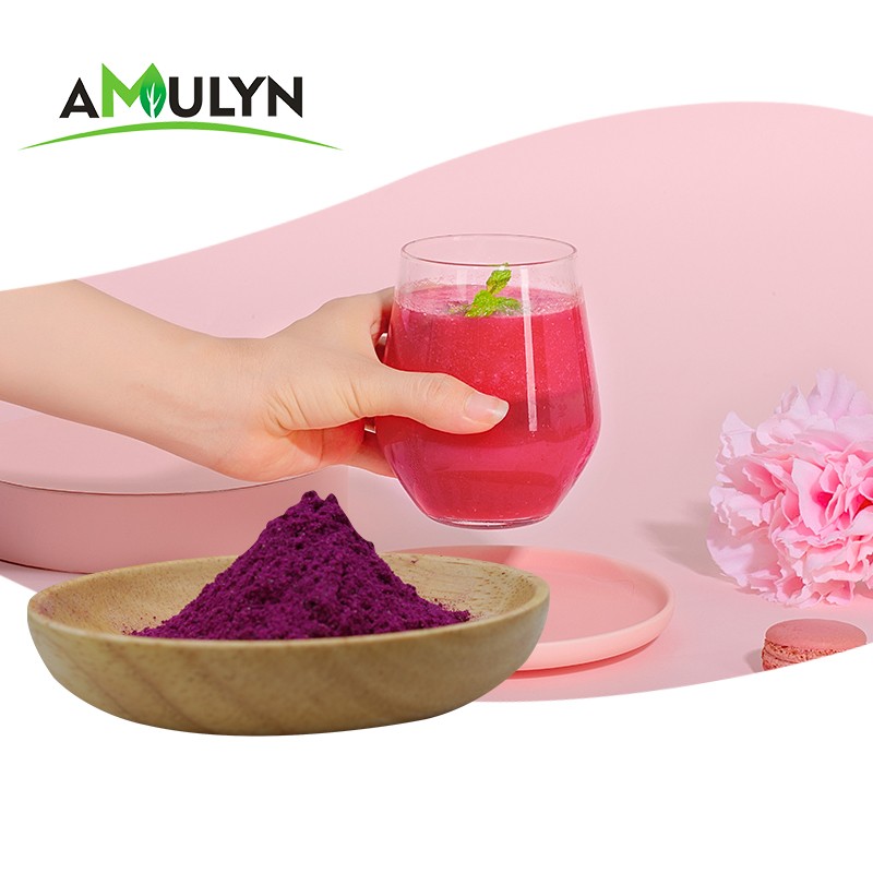 AMULYN Vacuum Spray Dried Freeze Dried Red Dragon Fruit Powder