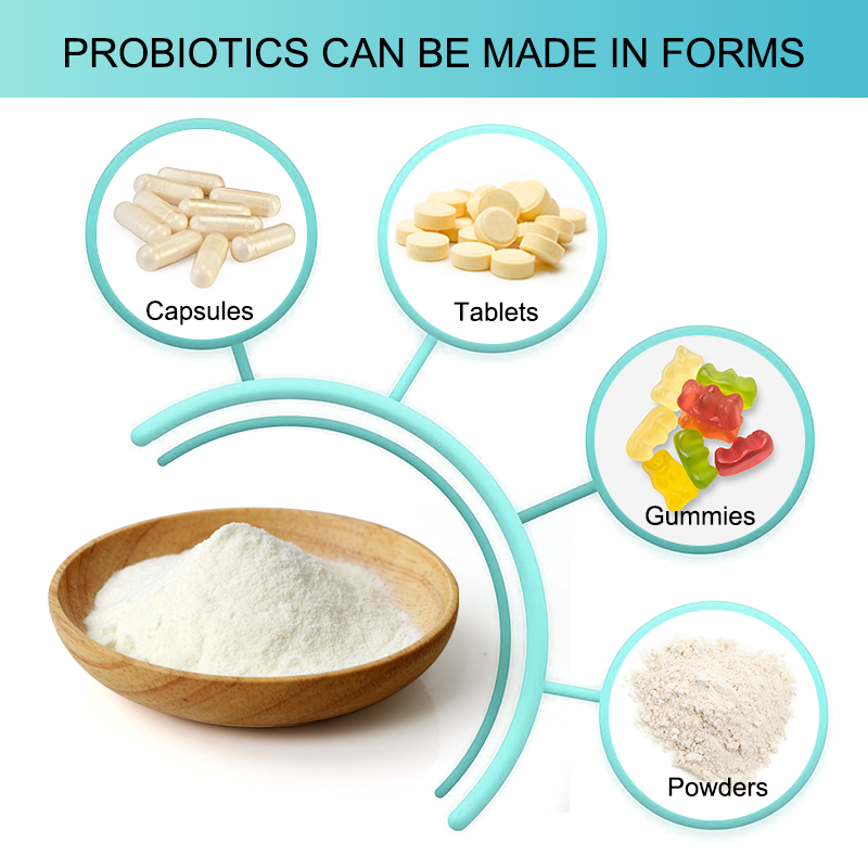 AMULYN Lactobacillus Plantarum Probiotics Powder Premium White Powder Appearance