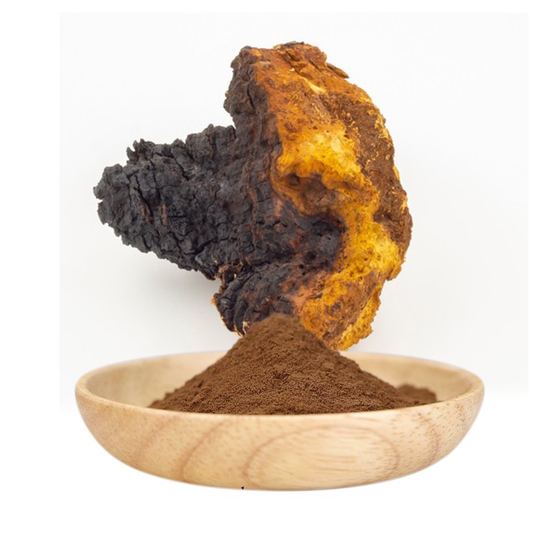 AMULYN Certified Organic Mushroom Extract 30% Polysaccharides Chaga Extract Chaga Powder