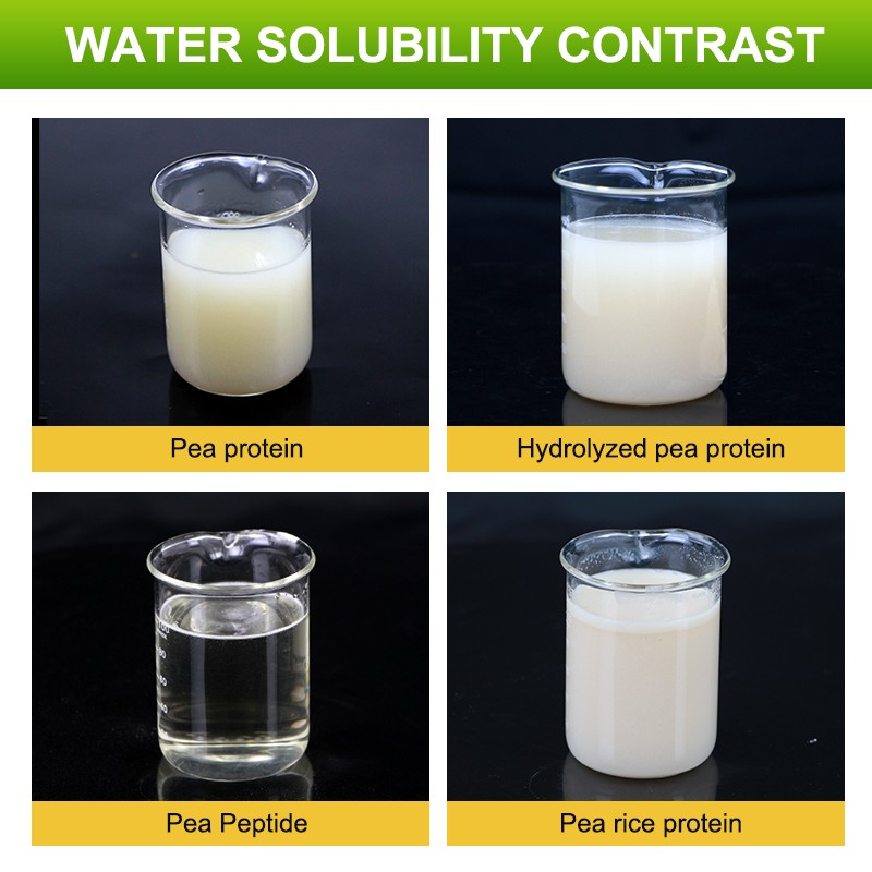 Hydrolyzed Pea Protein Powder Instant Powder 85%