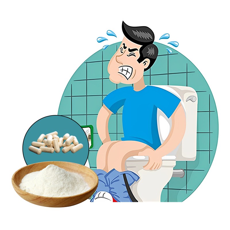 Pure Lactobacillus Plantarum Probiotics Powder