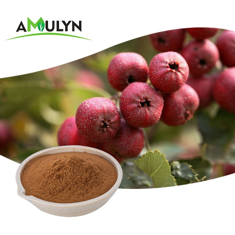AMULYN Hawthorn Berry Extract Juice Powder Hawthorn Flavonoids Vitexin Rhamnoside 2%