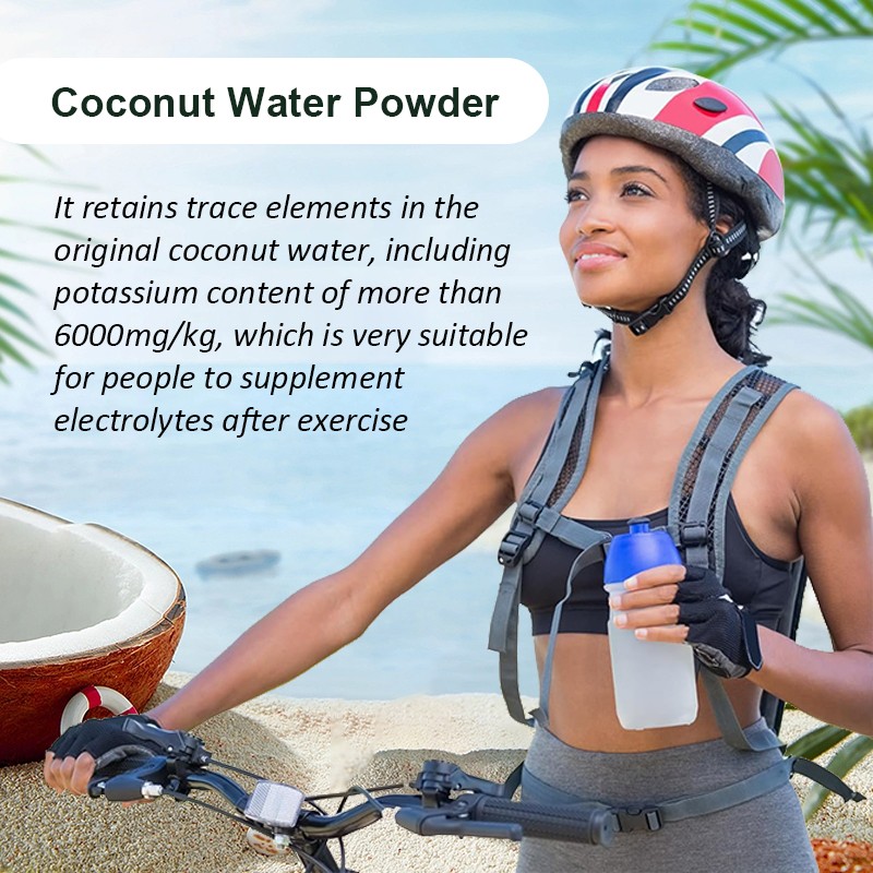 AMULYN Ex-Factory Price Hydration for Workout Coconut Water Powder
