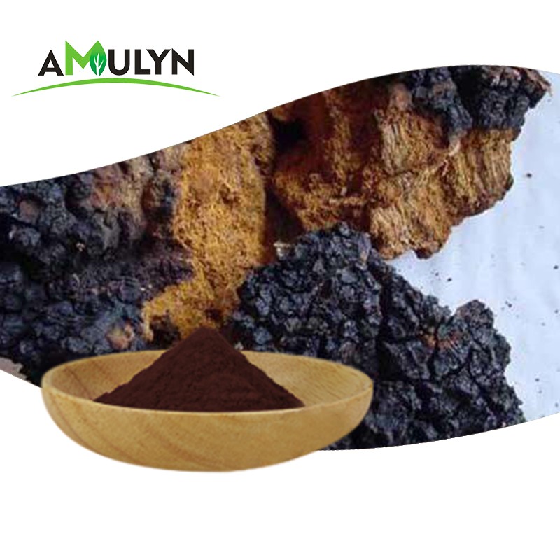 Organic 100% Natural Pure Chaga Mushroom Extract Powder