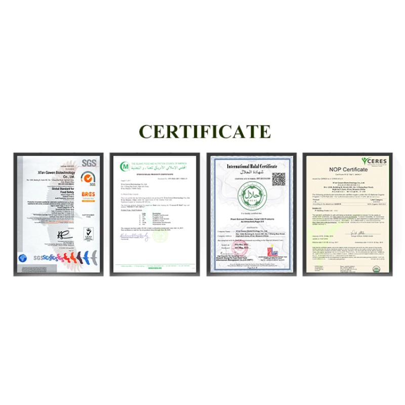 AMULYN Orgain Water Soluble Chocolate Flavor Plant  Pea Protein Isolate Powder