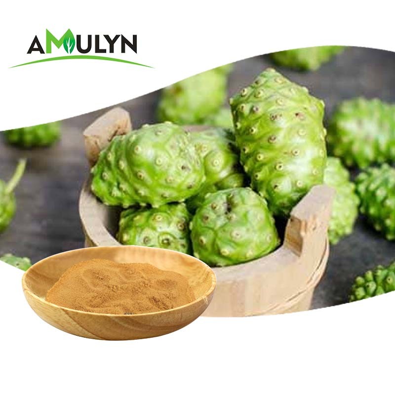 Amulyn Factory Supply Food Grade Noni Extract Powder Best Price Natural Noni Fruit Juice Powder Vitamin Available Bottle Drum