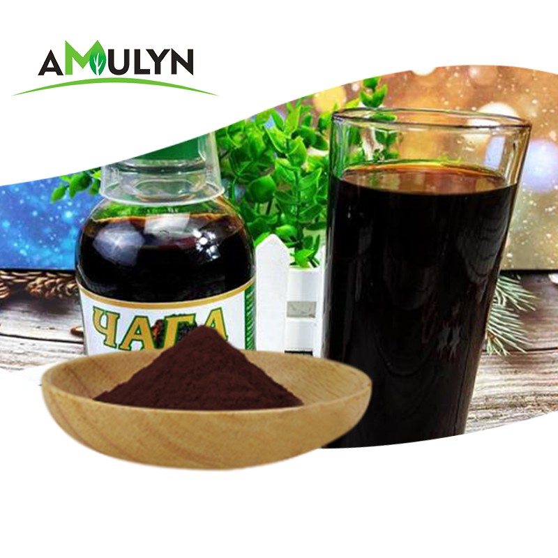 Organic 100% Natural Pure Chaga Mushroom Extract Powder