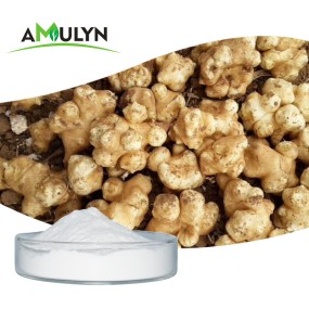 Instant Chicory Coffee Powder India Chicory Powder