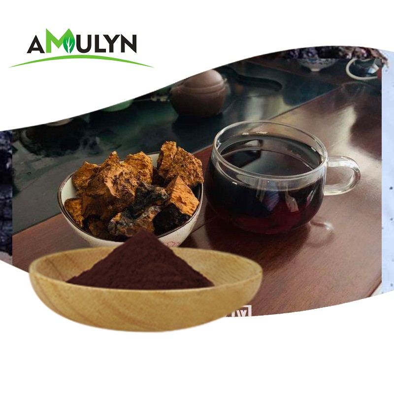 Organic 100% Natural Pure Chaga Mushroom Extract Powder