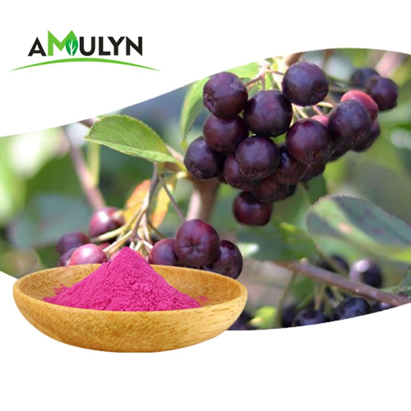 Natural Freeze Dried Acai Berry Fruit Powder Brazil Freeze Dried Powder