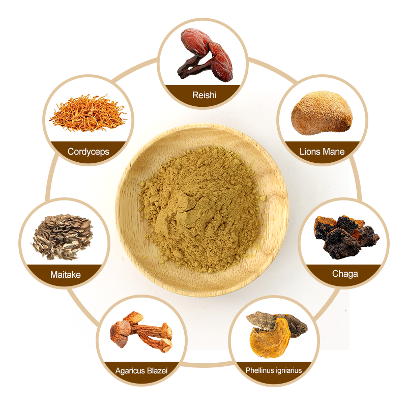 AMULYN 7 in 1 Mushroom Mix 10:1 Powder Reishi Lions Mane Cordyceps Chaga Maitake Mushroom Extract Blend Powder