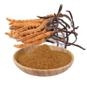 AMULYN Food Grade High Quality Cordyceps Extract Powder Natural Herbal Extract From Mushroom Root Factory Direct Packaging Drum