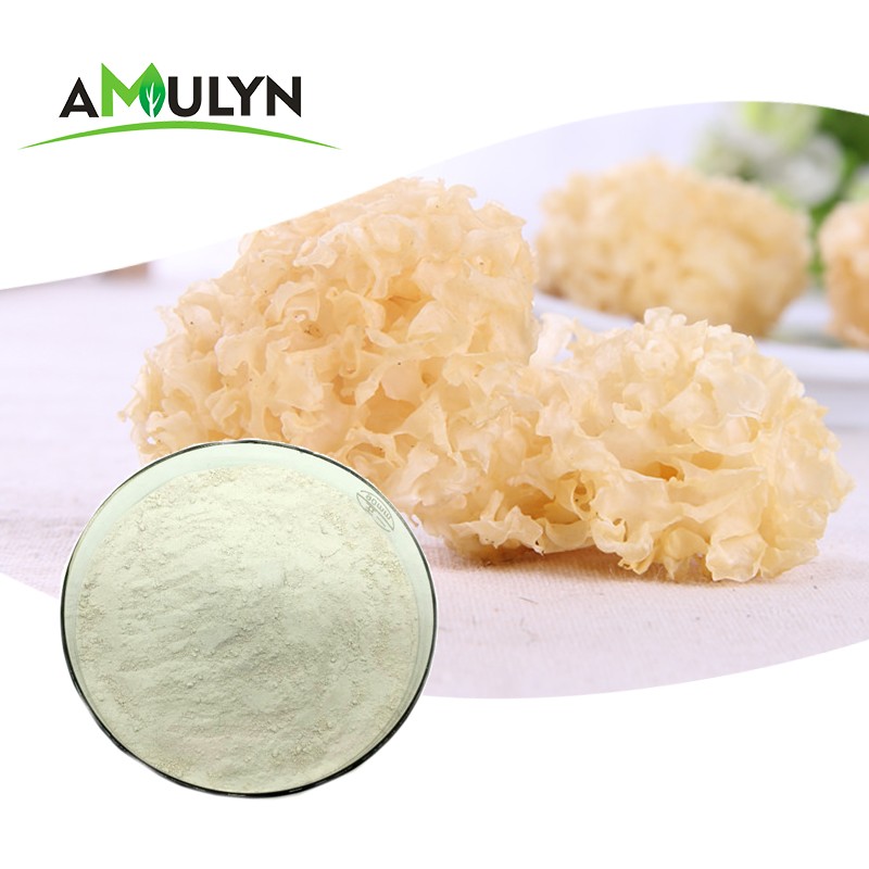 Best Seller Tremella Mushroom Extract Powder Polysaccharide Powder 10%-80%