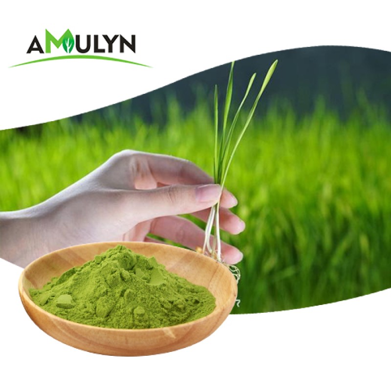 AMULYN Best Price 100%  Organic Green Wheat Barley Grass Juice Powder