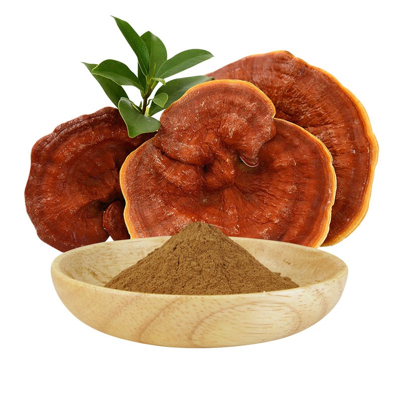AMULYN Wholesale Natural Supplements Ganoderma Lucidum Extract 30% Polysaccharide Reishi Mushroom Powder