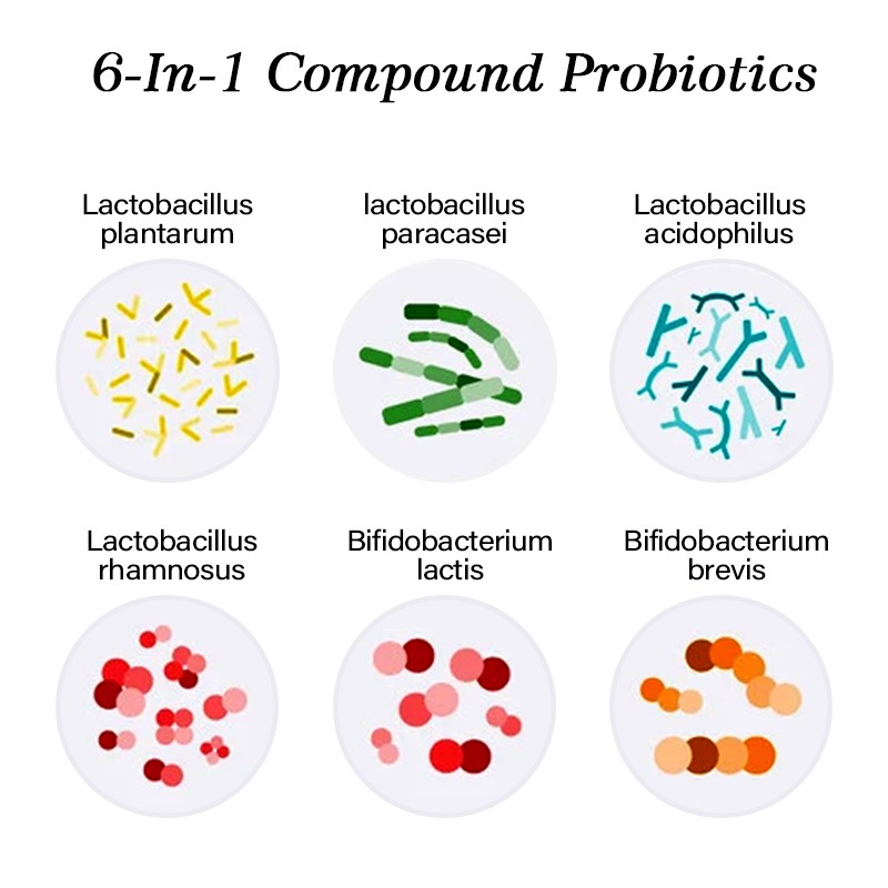 AMULYN Bulk Health Supplements Compound 6-in-1 Freeze Dried Probiotics Powder