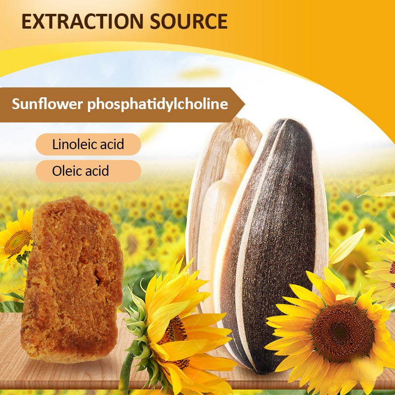Food Grade Organic Sunflower Lecithin Phosphatidylcholine Herb Extract Powder Bulk Seed Part Used Bottle/Drum/Glass Container