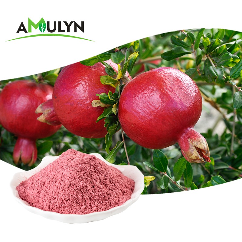 AMULYN Organic Freeze Dried Pomegranate Juice Powder