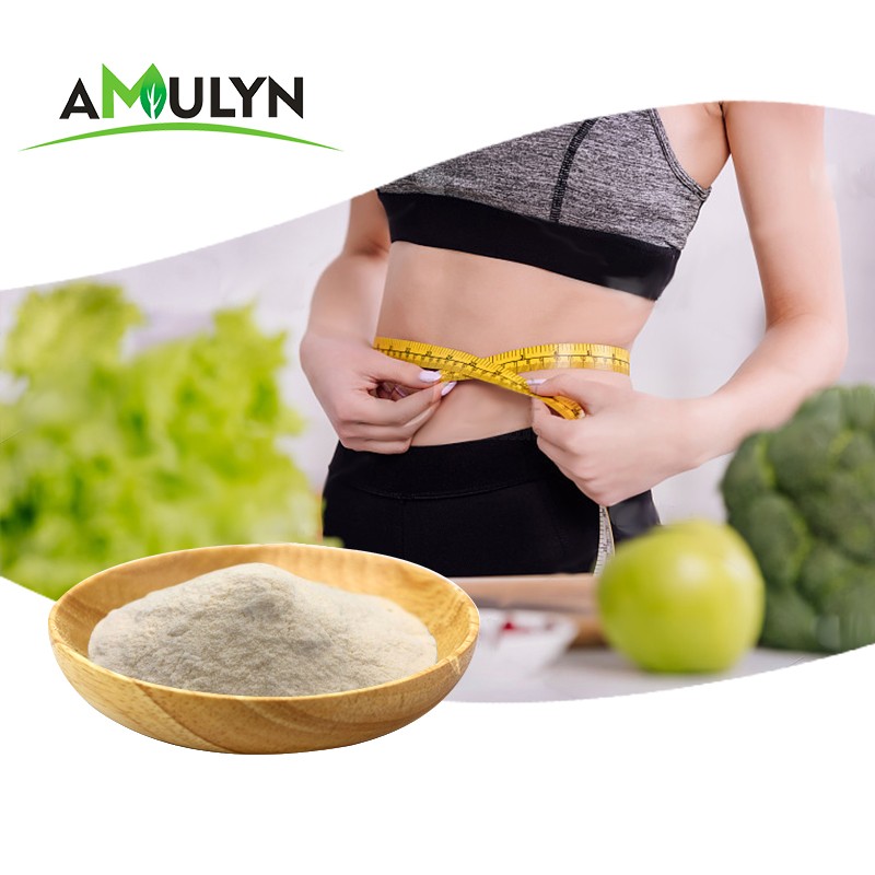 AMULYN Supply Plant-Based Low Allergen Broad Bean Protein Powder Nutrition Enhancer From Manufacturers
