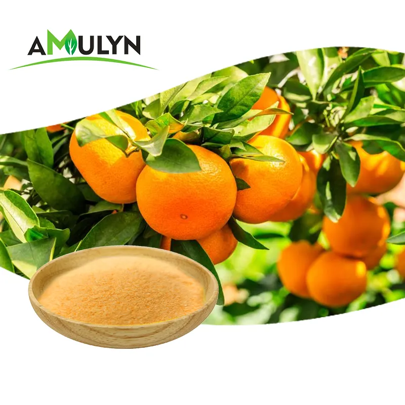 Orange Powder for Drink Orange Juice Instant Powder