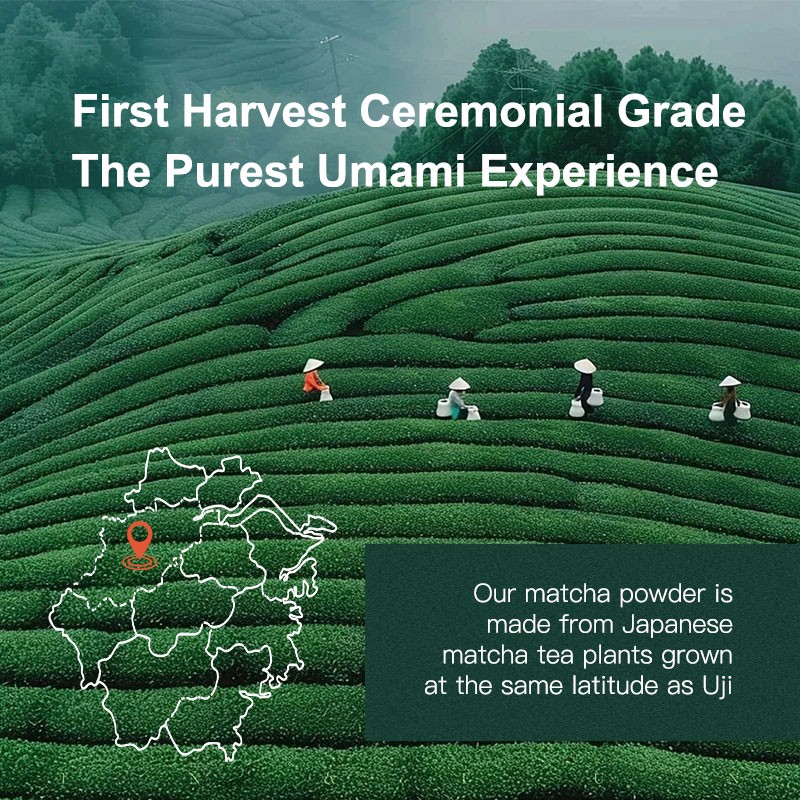 AMULYN Factory Private Label Bulk Matcha 100% Natural Pure Green Tea Organic Ceremonial Grade Matcha Powder