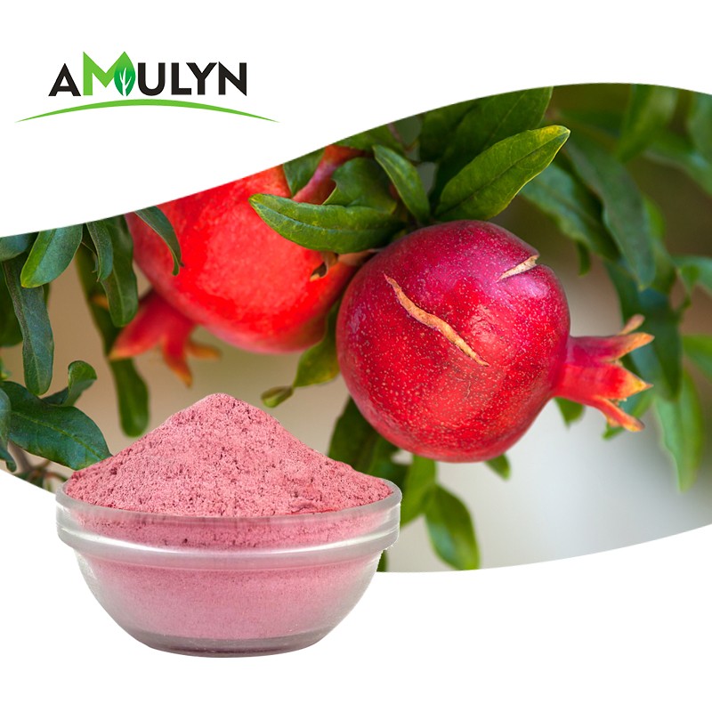 Pomegranate Bark Extract Powder Ellagic Acid
