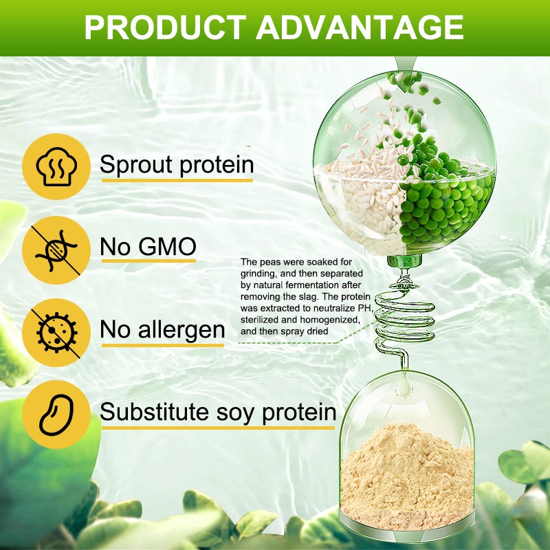 AMULYN Protein Boost Supplement NON-GMO Gluten Free Vegan Protein Blend Powder Rice Pea Protein Isolate