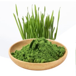 AMULYN Best Price 100%  Organic Green Wheat Barley Grass Juice Powder