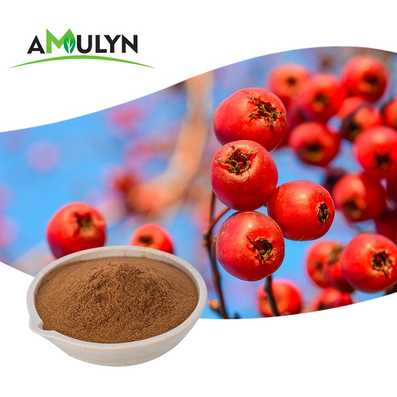 AMULYN Hawthorn Berry Extract Juice Powder Hawthorn Flavonoids Vitexin Rhamnoside 2%