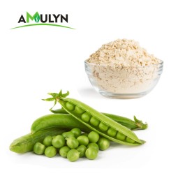 100% Organic Plant Protein Pea Powder Farina Di Pisello Peameal Bacon