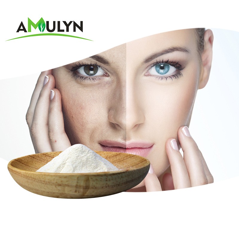 AMULYN Supply Oat Extract Powder Beta Glucan Oat Beta Glucan 70%