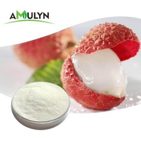 Litchi Fruit Powder Litchi Powder Pure Nature With Top Grade