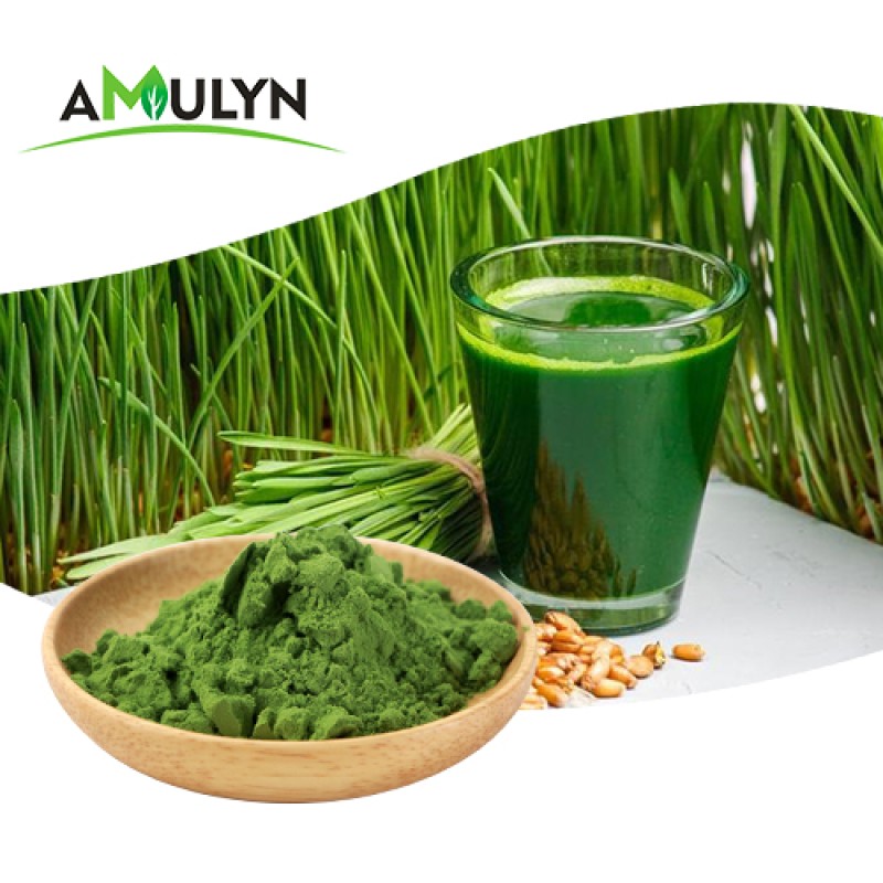 AMULYN Best Price 100%  Organic Green Wheat Barley Grass Juice Powder
