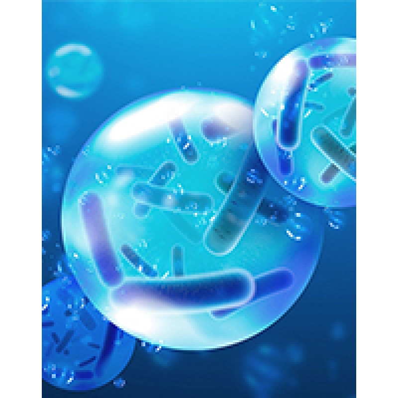 AMULYN Freeze-dried Probiotics Lactobacillus Acidophilus Powder