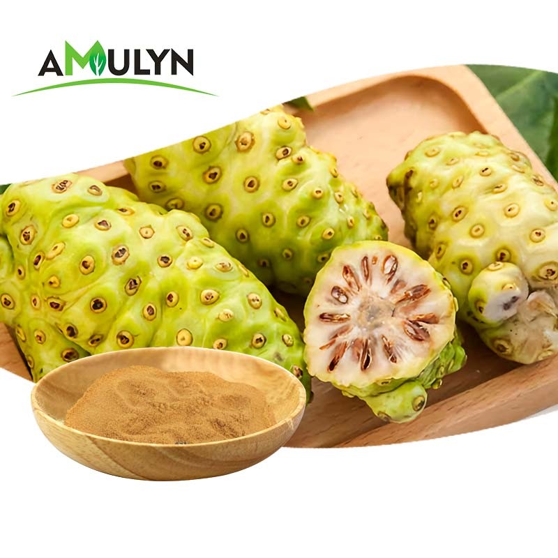 Amulyn Factory Supply Food Grade Noni Extract Powder Best Price Natural Noni Fruit Juice Powder Vitamin Available Bottle Drum